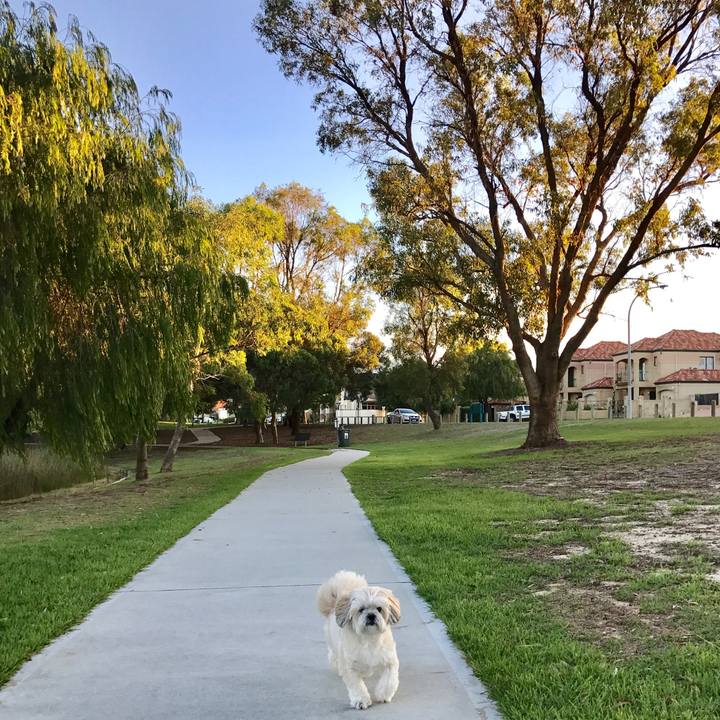 A689124b 4101 438b a2e8 86aba09d11d0