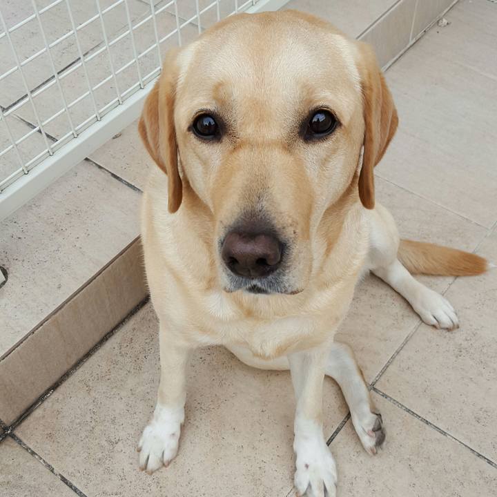 A6894812 8577 4966 9d02 d3be201bb13d