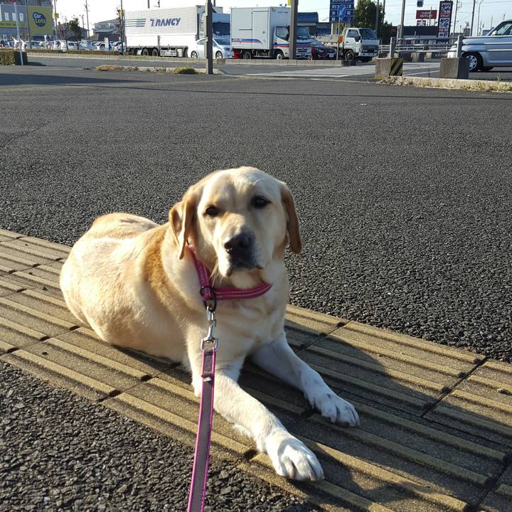 A689ab3b 6043 4279 bd2e 7ba5a7c0417c