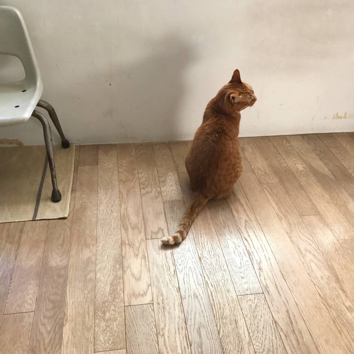 A689b9e2 84a1 4627 86ab 5e872a3983fb