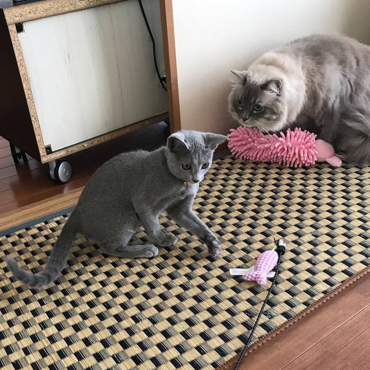 A689edc8 565f 4c25 8d0f 104d593dbfa0