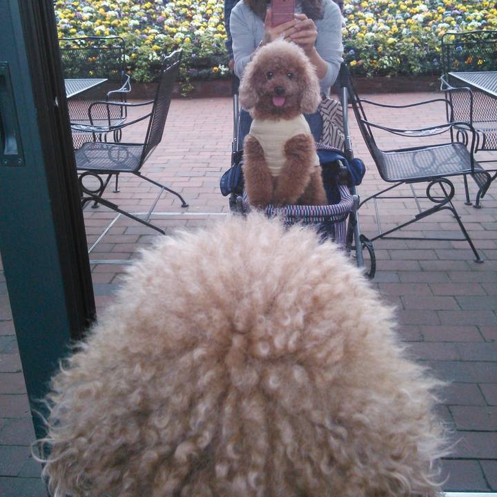 A68b24d7 1da1 4ce5 9544 6dab88a6db93