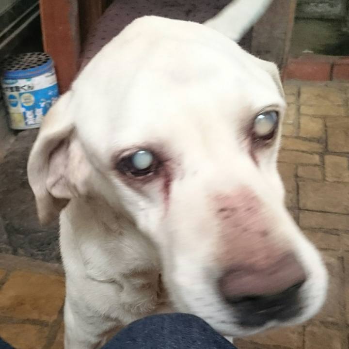 A68b36cb ebb6 46a4 b260 3022a422e22d