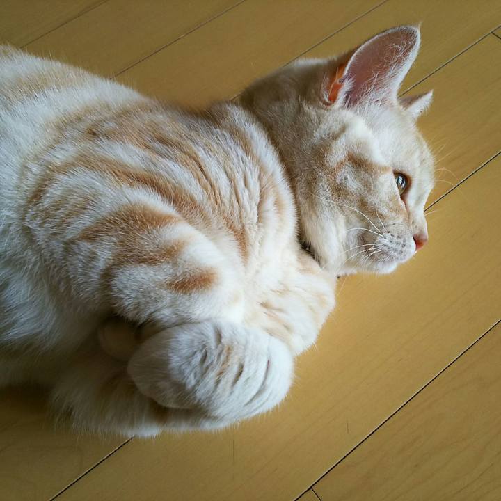 A68b533e 093a 4400 97a6 a09d6d3c7ba4