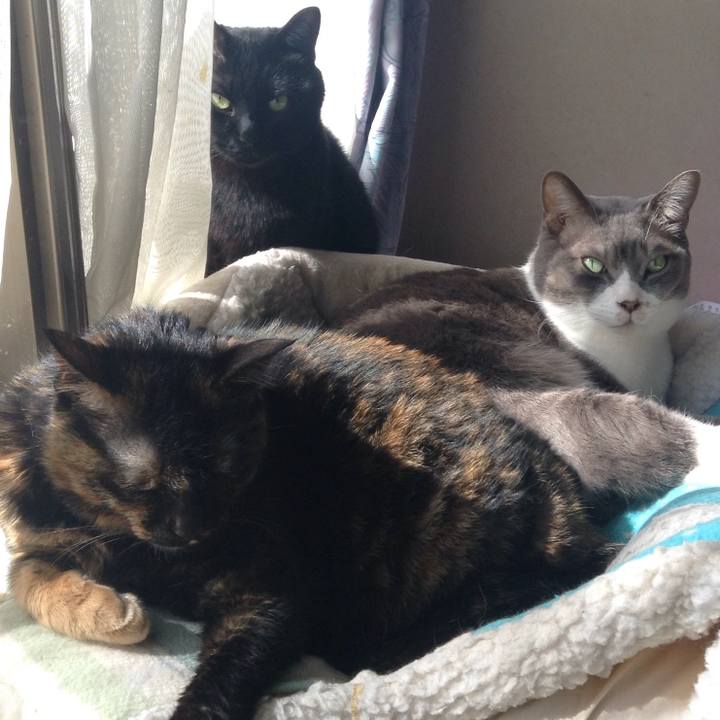 A68c5ea6 f3e4 4b1c b0ce df0b746fab19