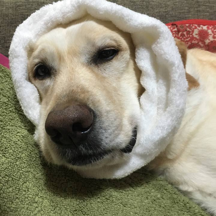 A68c907c 49c7 4c5f 9efc f2952ed1f1e6