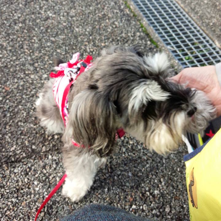 A68ce71f 5ec0 45a0 88c8 528ac218a9f2