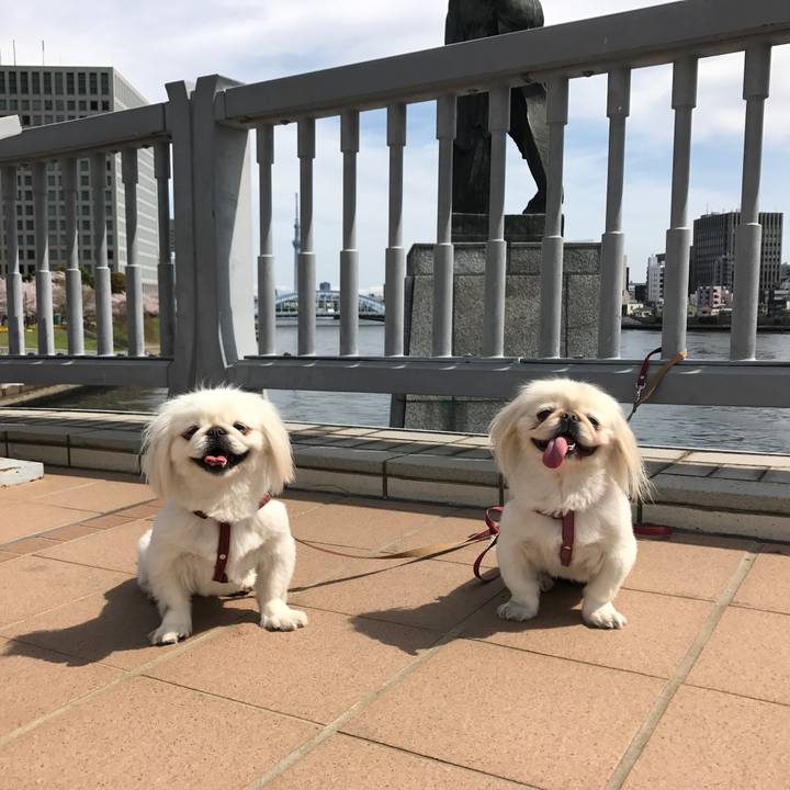 A68d56b1 6b30 4327 9713 b69fb3b19034