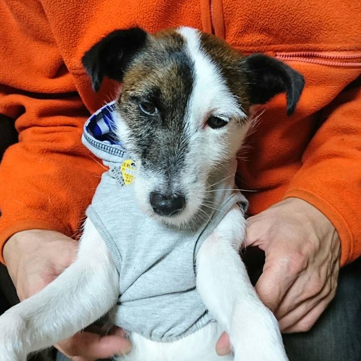 A68d5caf e4da 41b9 a03e 4a165177ef59