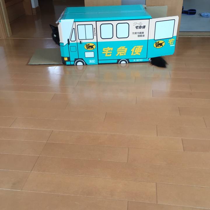 A68d6ef1 cb6a 4756 b733 e3064f30737d