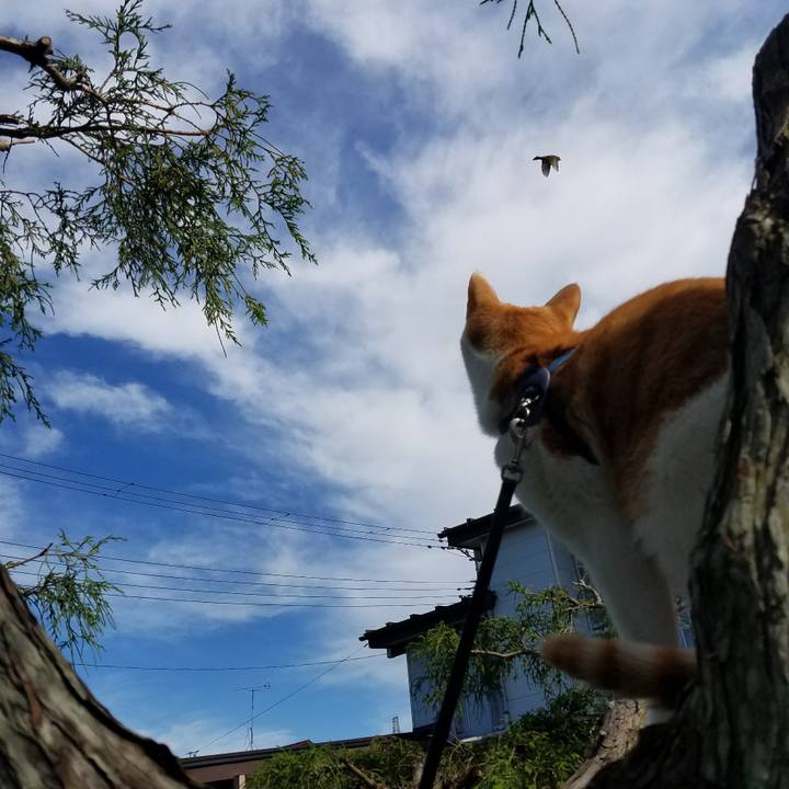 A68dc4a4 6681 49f9 8bad 02452ab5d033