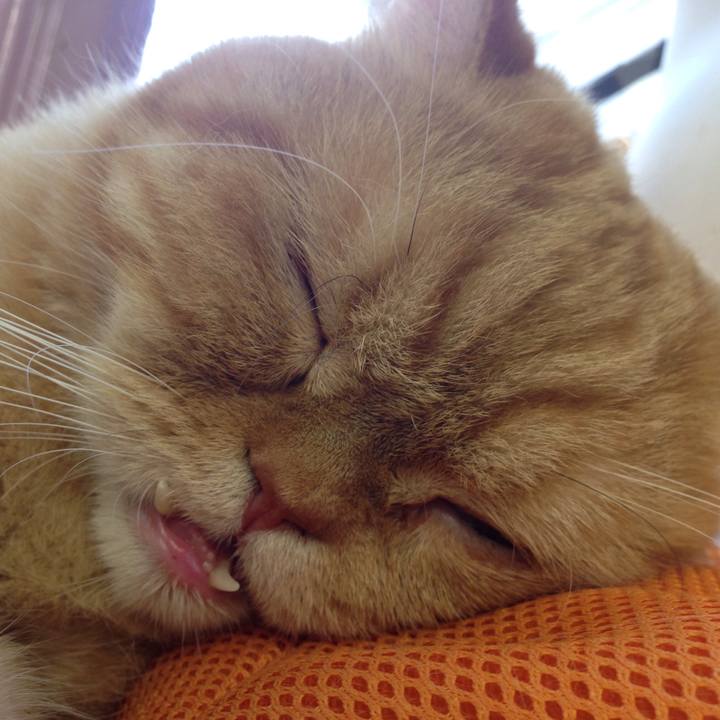 A68e331b 6c28 49f7 9f77 86af4edd8975