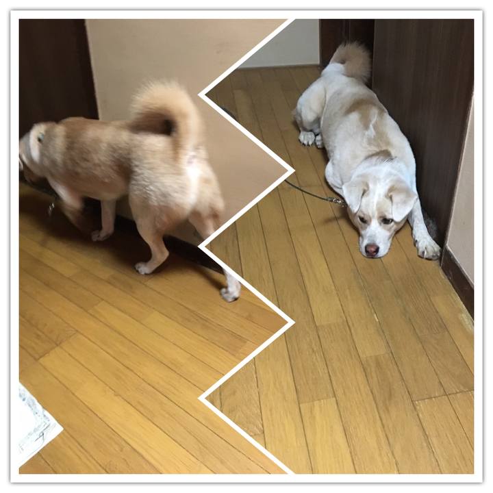 A6908769 7684 4b31 a6f6 cc6bcce63210