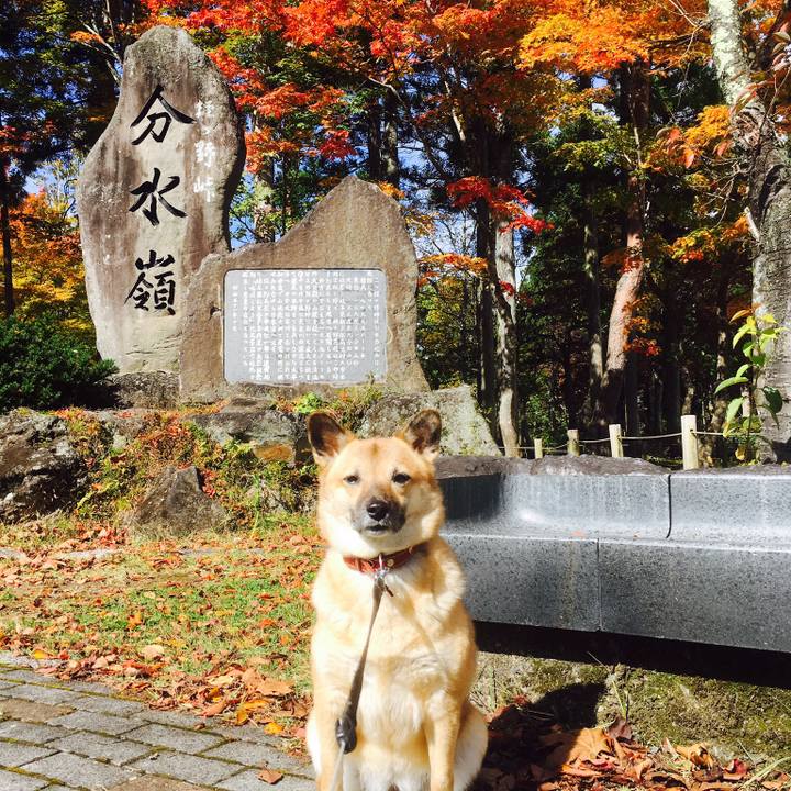 A6908cbd fee1 400e bd80 a8f3b4e272ed