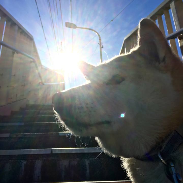 A690df24 9833 4730 9d70 91c75e76ad35