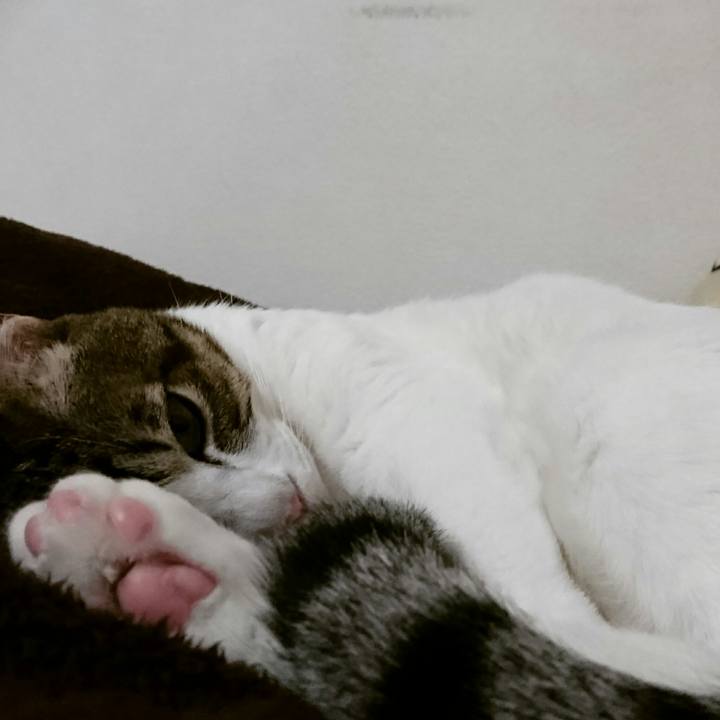 A6927e33 6aeb 4510 9a40 efc95c400cca