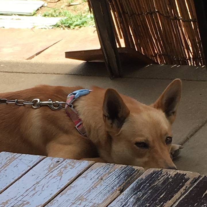 A692dce1 f352 47c5 b900 31ce3e2aed72