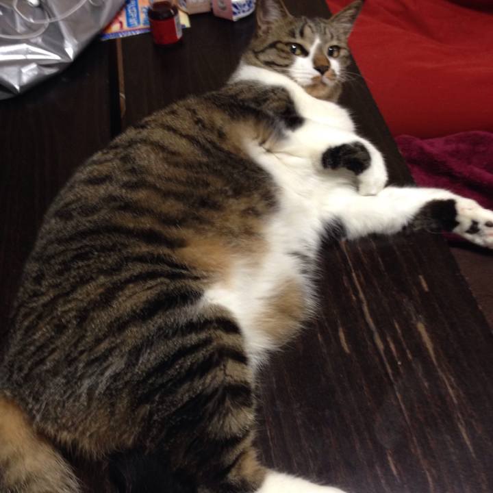 A6936270 f6cf 44b9 93eb 69e698e6db0d