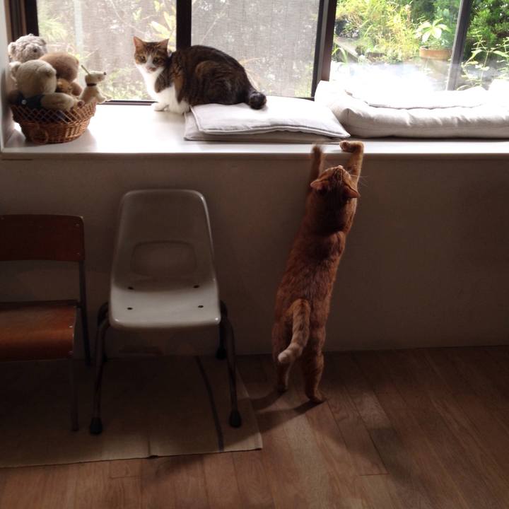 A6936284 55b9 4cda b781 8f042459b03c