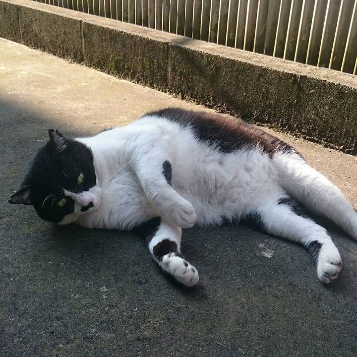 A693b37a 333c 48f8 a0b2 80f38db0fb71