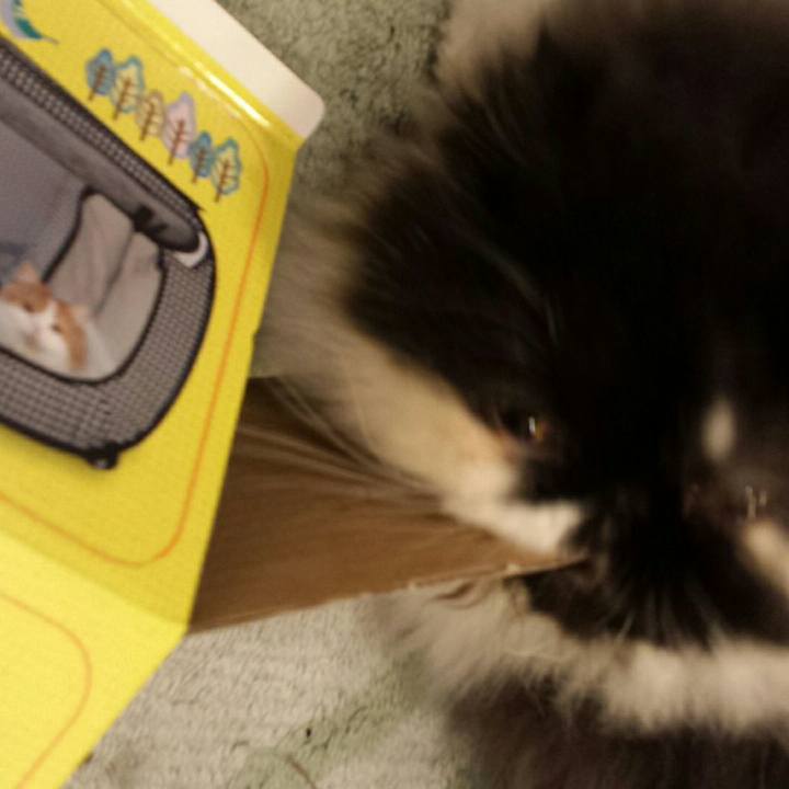 A693ba51 3a90 4b1c ab08 3dacaa31c784