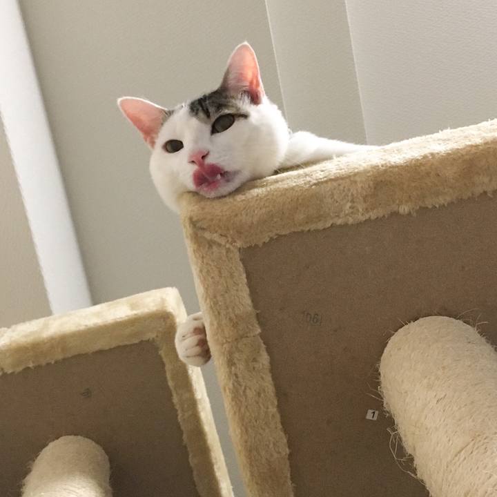 A693f124 8f25 4720 9994 21edb857d797