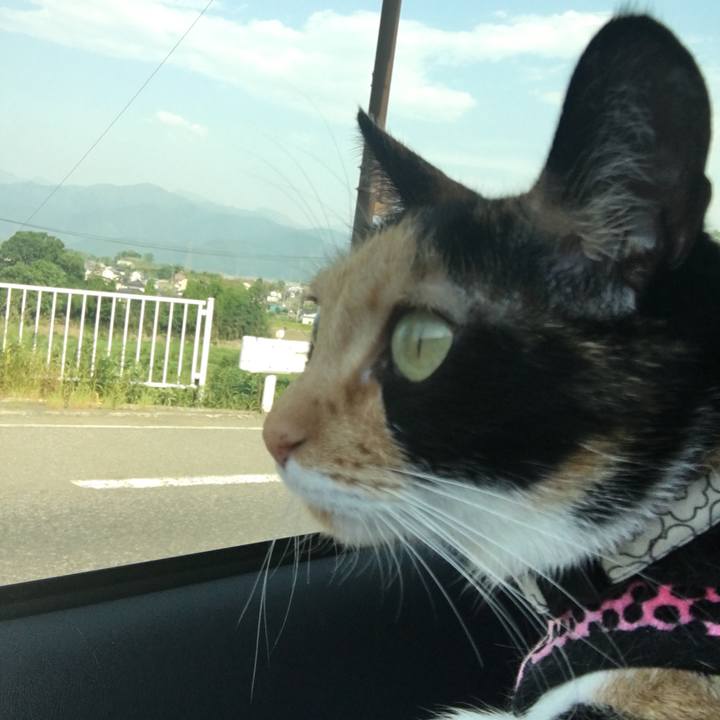 A69416bc 89e5 45e0 a4c8 1f6b0ddc20a5