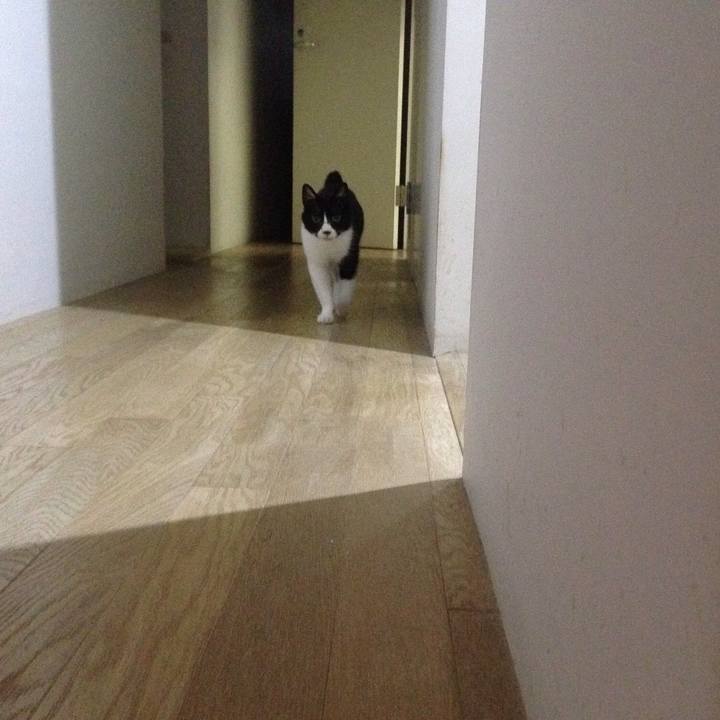 A694993b 3ec5 401e 8e13 e6dfafbbcc04