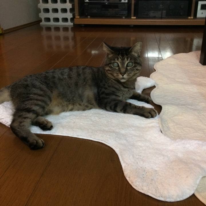 A69559ab f791 4e10 bc63 edfcb9ab5c16