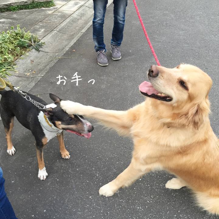 A6958cbf ac71 4377 8d44 b0c0dafe0529