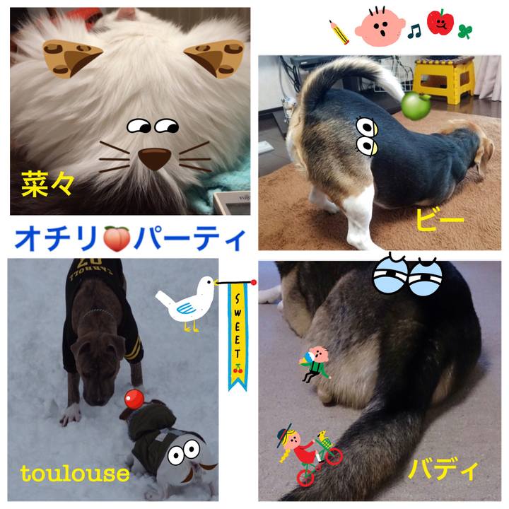 A695febb 445c 4e28 a3eb c37c3569f3a0