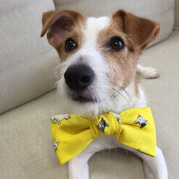 A6965cd4 923d 4b81 a1bb bb8083bffa20