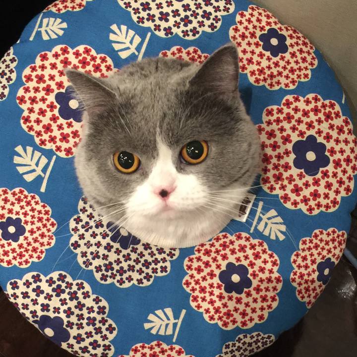 A696836f 6618 4fa1 845d 6435f0e7c0f1