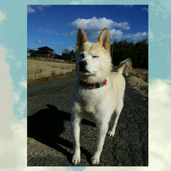 A6968432 da0b 48a6 b668 2f193fa29af5