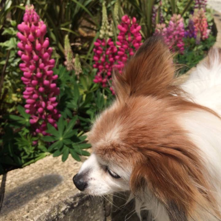 A696a957 862e 4f2b 9589 8fbb0e6a4c1f