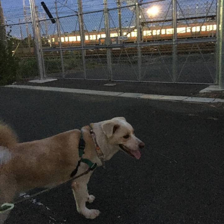 A696c607 cf36 404f b8e3 df4b180b864b