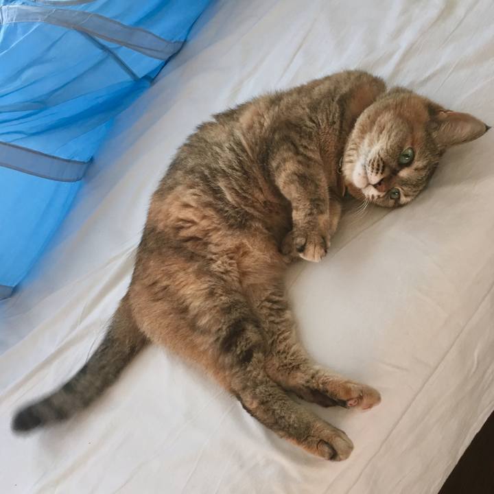 A6972f68 eef2 4370 a9df b512903f7adf