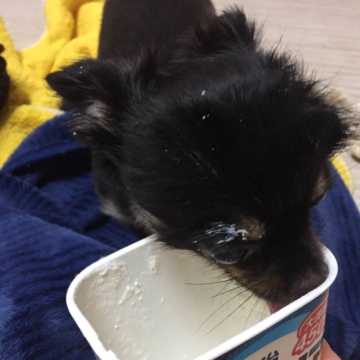 A6975f67 31b5 4a35 86b2 d8c2f2f9234c