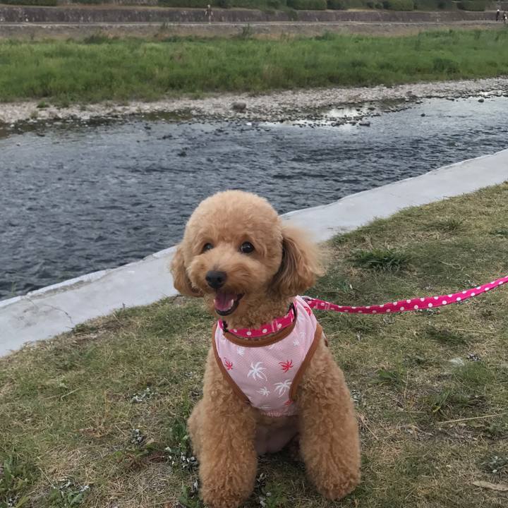 A6981321 c2ff 4641 b41c 5e1839c27c18