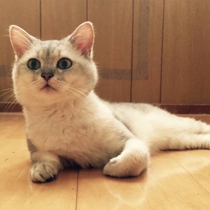 A6985982 6eb0 4d6a b15b 9b12d7fcb655