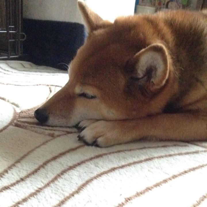 A698809a 986b 44e8 8e15 cfb9166b11d8