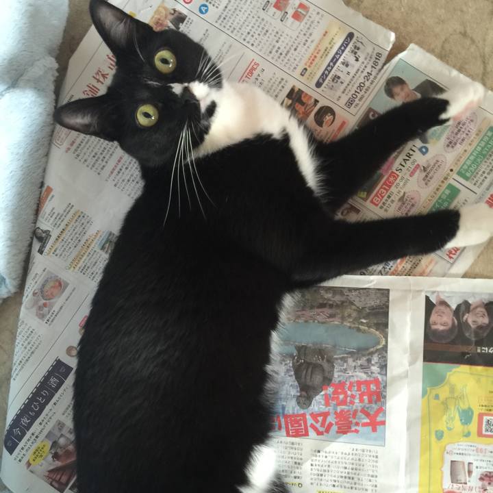 A698d4ae 7a6d 492f 8113 3adec1cf3d90