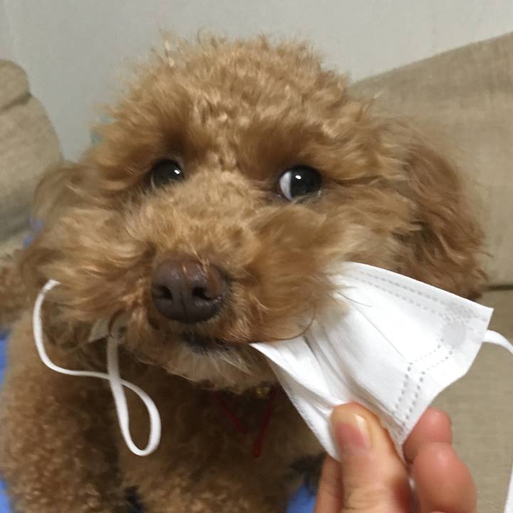 A6998e84 23b2 4158 99ec 478ed4cc261c