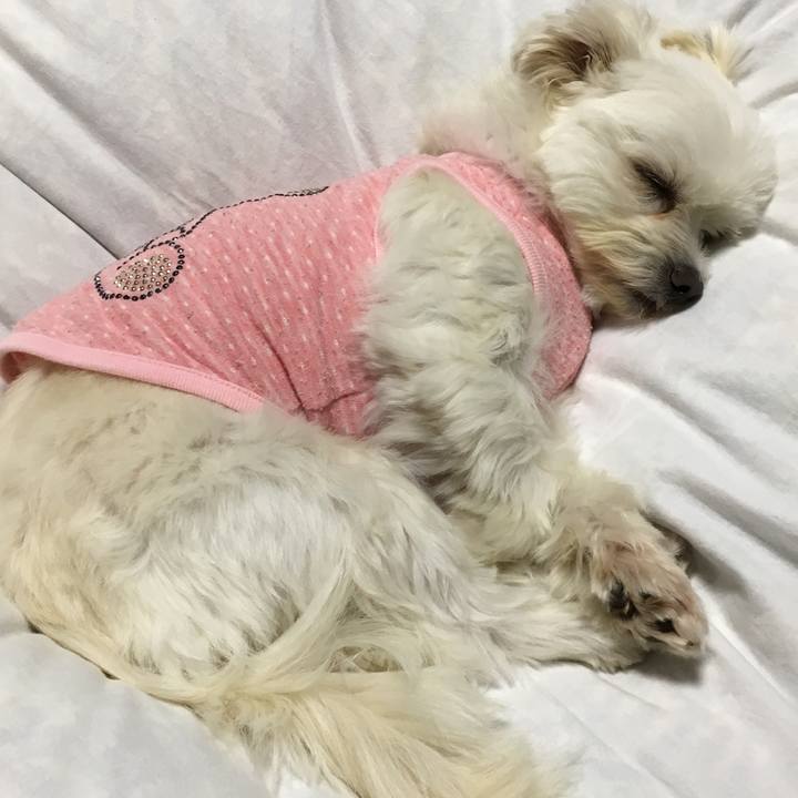 A69a1459 1d2f 4006 9e14 2847db7342c2