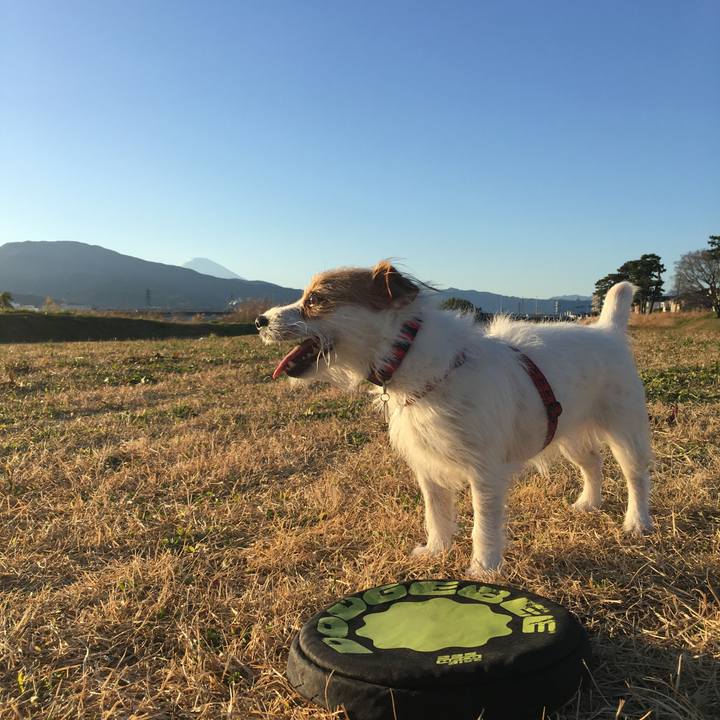 A69a1702 c924 4cb9 87bb 207e34c58904