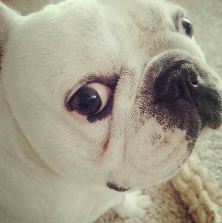 A69a397c 03a2 4a63 b39c b80e6fa7324b