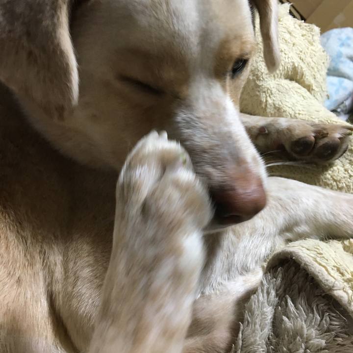 A69a3d8e f7be 48d1 a7f8 04e6bb3c2b2b