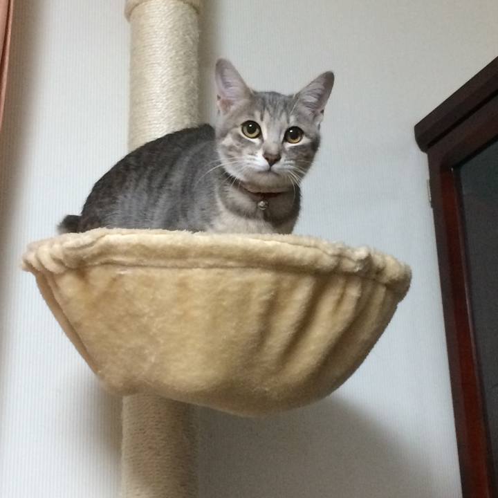 A69b00a8 8cdd 4452 8e31 2f1320388535