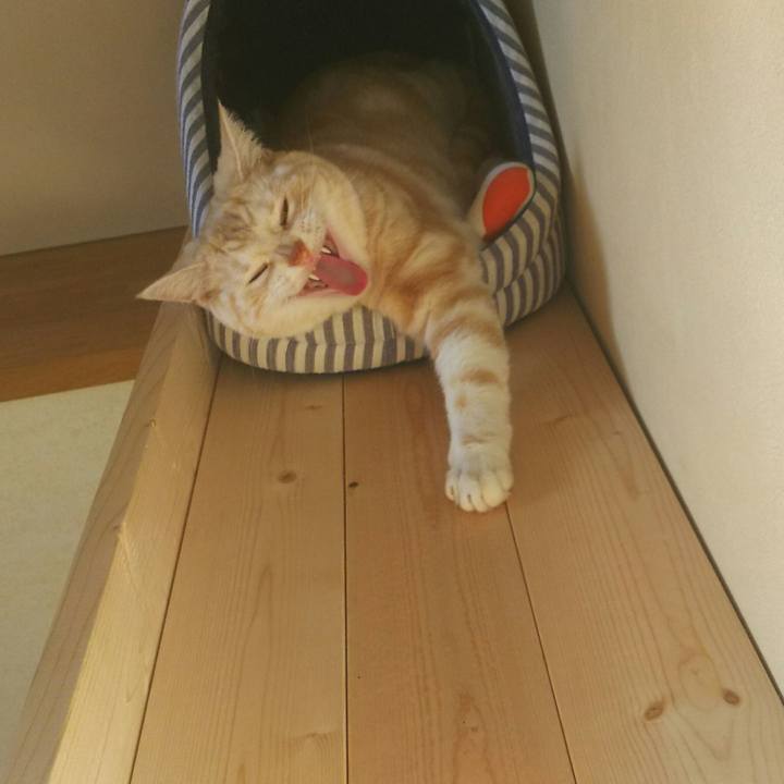 A69b1156 69bc 44b6 a000 2c3c449617fd