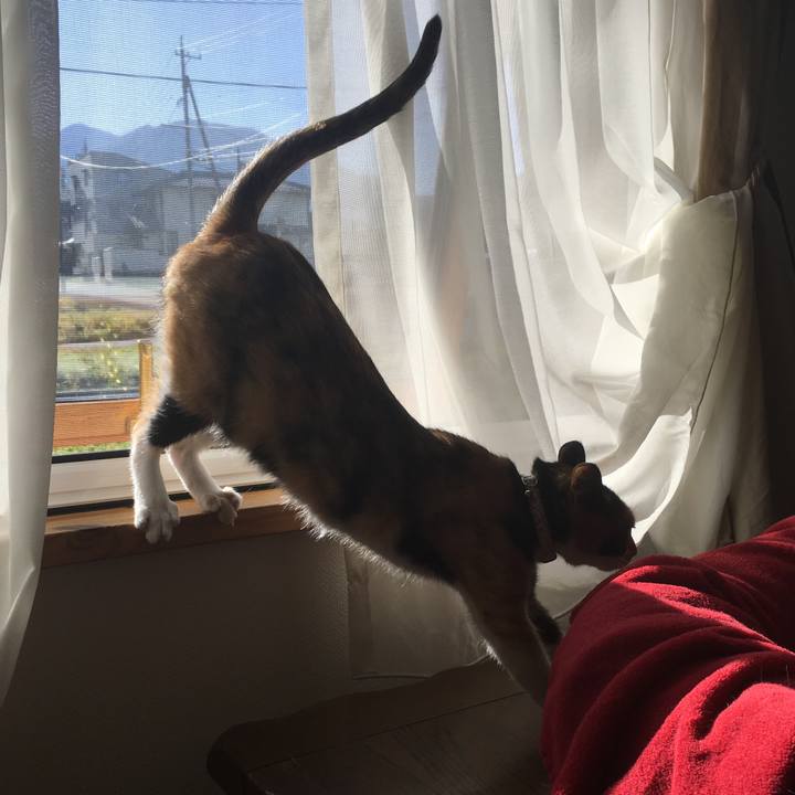 A69b1b46 6f9e 48af b48e 2c0478efe922